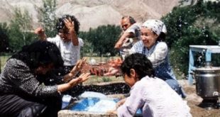 ناگفته‌هایی در مورد فیلم «کافه ترانزیت»